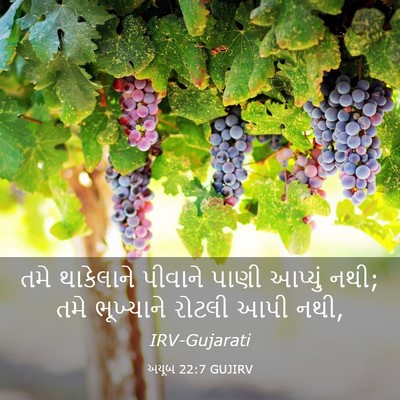 Picture 03 - અયૂબ 22:7 GUJIRV - તમે થાકેલાને - Bible Verse Picture