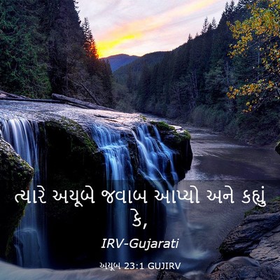 Picture 03 - અયૂબ 23:1 GUJIRV - ત્યારે અયૂબે જવાબ - Bible Verse Picture