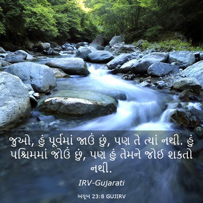Picture 03 - અયૂબ 23:8 GUJIRV - જુઓ, હું પૂર્વમાં - Bible Verse Picture