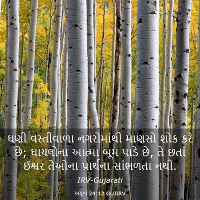 Picture 03 - અયૂબ 24:12 GUJIRV - ઘણી વસ્તીવાળા - Bible Verse Picture
