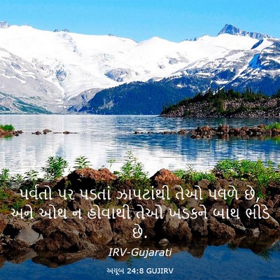 Picture 03 - અયૂબ 24:8 GUJIRV - પર્વતો પર પડતાં - Bible Verse Picture