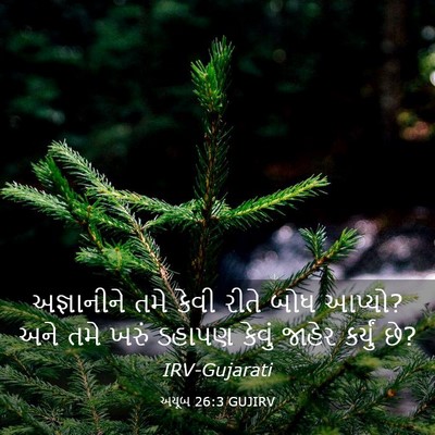 Picture 03 - અયૂબ 26:3 GUJIRV - અજ્ઞાનીને તમે - Bible Verse Picture
