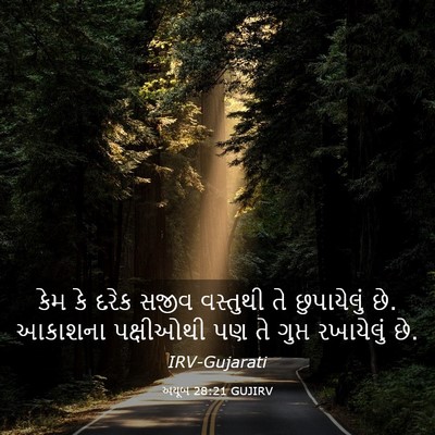 Picture 03 - અયૂબ 28:21 GUJIRV - કેમ કે દરેક સજીવ - Bible Verse Picture