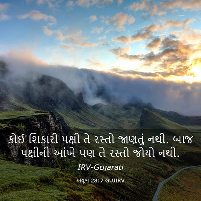 Picture 03 - અયૂબ 28:7 GUJIRV - કોઈ શિકારી પક્ષી - Bible Verse Picture