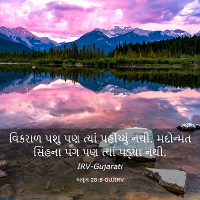 Picture 03 - અયૂબ 28:8 GUJIRV - વિકરાળ પશુ પણ - Bible Verse Picture