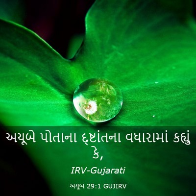 Picture 03 - અયૂબ 29:1 GUJIRV - અયૂબે પોતાના - Bible Verse Picture