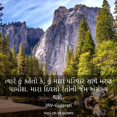 Picture 03 - અયૂબ 29:18 GUJIRV - ત્યારે હું કહેતો - Bible Verse Picture