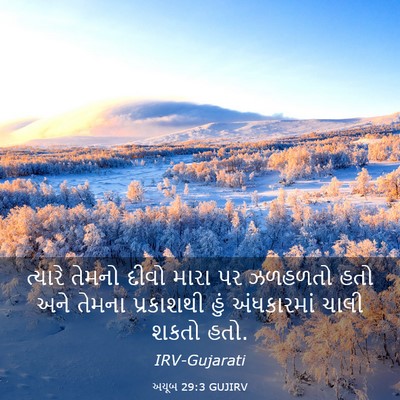 Picture 03 - અયૂબ 29:3 GUJIRV - ત્યારે તેમનો દીવો - Bible Verse Picture