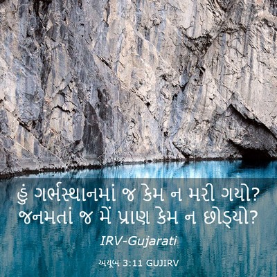 Picture 03 - અયૂબ 3:11 GUJIRV - હું ગર્ભસ્થાનમાં - Bible Verse Picture