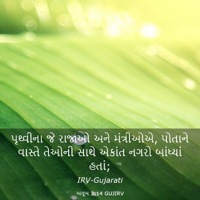 Picture 03 - અયૂબ 3:14 GUJIRV - પૃથ્વીના જે રાજાઓ - Bible Verse Picture