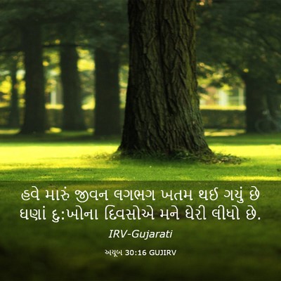 Picture 03 - અયૂબ 30:16 GUJIRV - હવે મારું જીવન - Bible Verse Picture