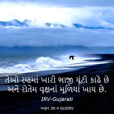 Picture 03 - અયૂબ 30:4 GUJIRV - તેઓ રણમાં ખારી - Bible Verse Picture