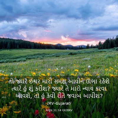 Picture 03 - અયૂબ 31:14 GUJIRV - તો જ્યારે ઈશ્વર - Bible Verse Picture