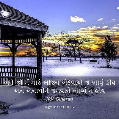 Picture 03 - અયૂબ 31:17 GUJIRV - અને જો મેં મારું - Bible Verse Picture
