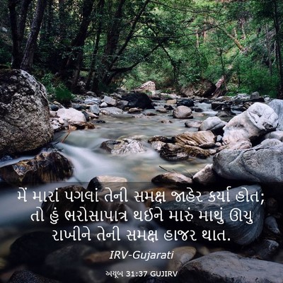Picture 03 - અયૂબ 31:37 GUJIRV - મેં મારાં પગલાં - Bible Verse Picture