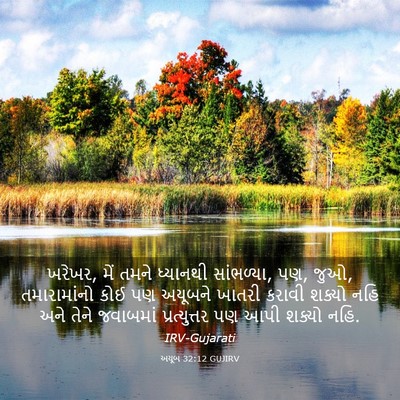 Picture 03 - અયૂબ 32:12 GUJIRV - ખરેખર, મેં તમને - Bible Verse Picture