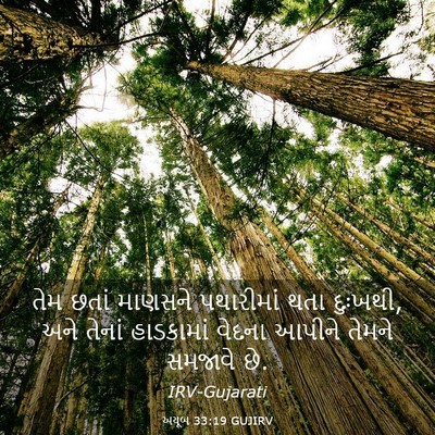Picture 03 - અયૂબ 33:19 GUJIRV - તેમ છતાં માણસને - Bible Verse Picture