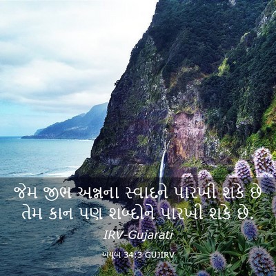Picture 03 - અયૂબ 34:3 GUJIRV - જેમ જીભ અન્નના - Bible Verse Picture