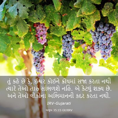 Picture 03 - અયૂબ 35:15 GUJIRV - તું કહે છે કે, - Bible Verse Picture