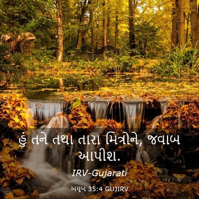 Picture 03 - અયૂબ 35:4 GUJIRV - હું તને તથા તારા - Bible Verse Picture
