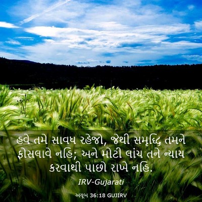 Picture 03 - અયૂબ 36:18 GUJIRV - હવે તમે સાવધ રહેજો, - Bible Verse Picture