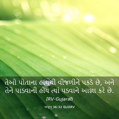 Picture 03 - અયૂબ 36:32 GUJIRV - તેઓ પોતાના હાથથી - Bible Verse Picture