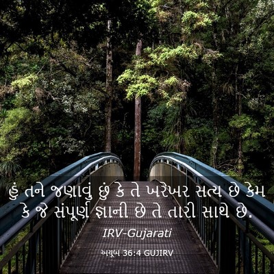 Picture 03 - અયૂબ 36:4 GUJIRV - હું તને જણાવું છું - Bible Verse Picture