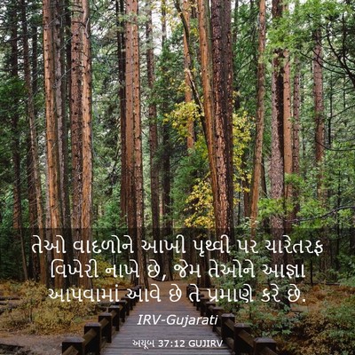 Picture 03 - અયૂબ 37:12 GUJIRV - તેઓ વાદળોને આખી - Bible Verse Picture
