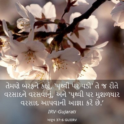 Picture 03 - અયૂબ 37:6 GUJIRV - તેમણે બરફને - Bible Verse Picture