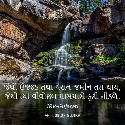 Picture 03 - અયૂબ 38:27 GUJIRV - જેથી ઉજ્જડ તથા - Bible Verse Picture