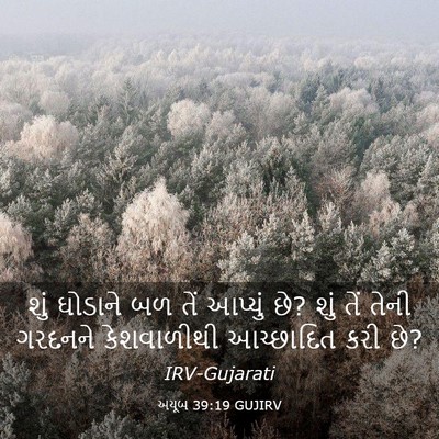 Picture 03 - અયૂબ 39:19 GUJIRV - શું ઘોડાને બળ તેં - Bible Verse Picture