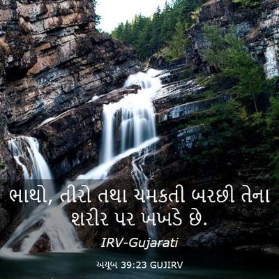 Picture 03 - અયૂબ 39:23 GUJIRV - ભાથો, તીરો તથા - Bible Verse Picture