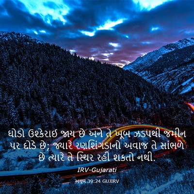 Picture 03 - અયૂબ 39:24 GUJIRV - ઘોડો ઉશ્કેરાઈ જાય - Bible Verse Picture