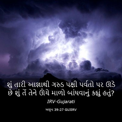 Picture 03 - અયૂબ 39:27 GUJIRV - શું તારી આજ્ઞાથી - Bible Verse Picture