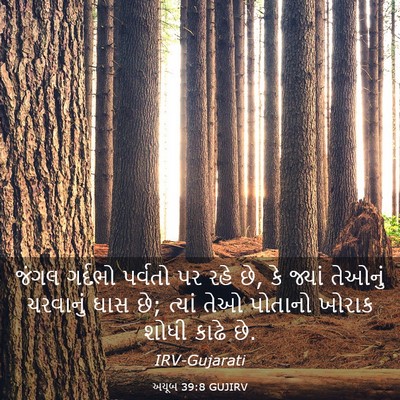 Picture 03 - અયૂબ 39:8 GUJIRV - જંગલ ગર્દભો - Bible Verse Picture