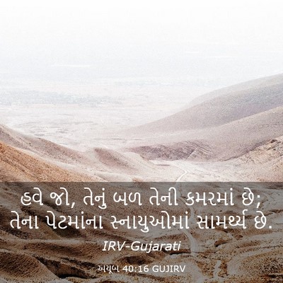 Picture 03 - અયૂબ 40:16 GUJIRV - હવે જો, તેનું બળ - Bible Verse Picture
