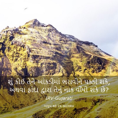 Picture 03 - અયૂબ 40:24 GUJIRV - શું કોઈ તેને - Bible Verse Picture