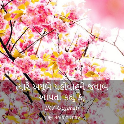 Picture 03 - અયૂબ 40:3 GUJIRV - ત્યારે અયૂબે - Bible Verse Picture