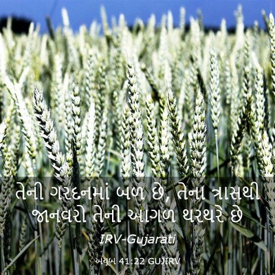 Picture 03 - અયૂબ 41:22 GUJIRV - તેની ગરદનમાં બળ છે, - Bible Verse Picture