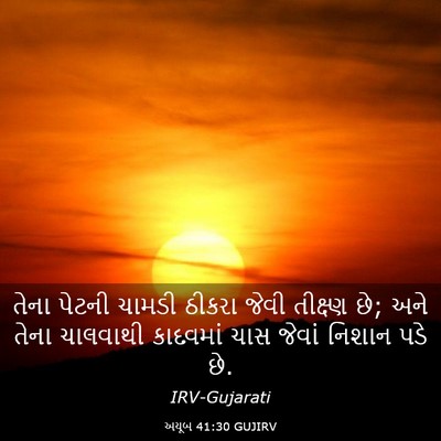Picture 03 - અયૂબ 41:30 GUJIRV - તેના પેટની ચામડી - Bible Verse Picture
