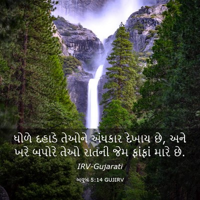 Picture 03 - અયૂબ 5:14 GUJIRV - ધોળે દહાડે તેઓને - Bible Verse Picture