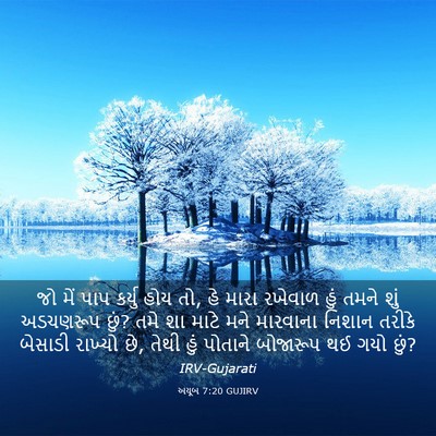 Picture 03 - અયૂબ 7:20 GUJIRV - જો મેં પાપ કર્યુ - Bible Verse Picture