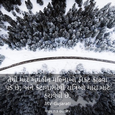 Picture 03 - અયૂબ 7:3 GUJIRV - તેથી મારે અર્થહીન - Bible Verse Picture