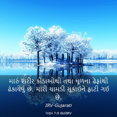 Picture 03 - અયૂબ 7:5 GUJIRV - મારું શરીર - Bible Verse Picture