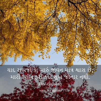 Picture 03 - અયૂબ 7:7 GUJIRV - યાદ રાખજો કે, મારું - Bible Verse Picture