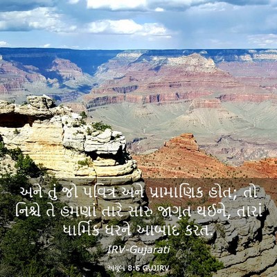 Picture 03 - અયૂબ 8:6 GUJIRV - અને તું જો પવિત્ર - Bible Verse Picture