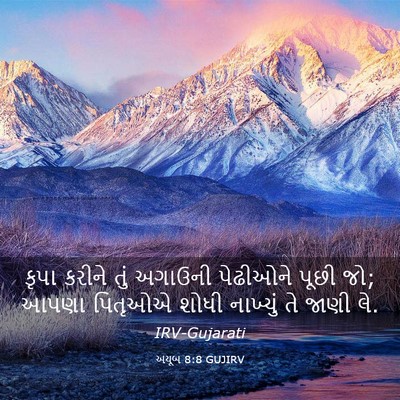 Picture 03 - અયૂબ 8:8 GUJIRV - કૃપા કરીને તું - Bible Verse Picture