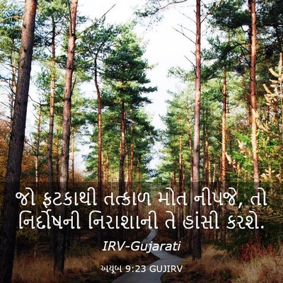 Picture 03 - અયૂબ 9:23 GUJIRV - જો ફટકાથી તત્કાળ - Bible Verse Picture