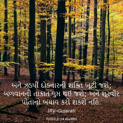 Picture 03 - આમોસ 2:14 GUJIRV - અને ઝડપી દોડનારની - Bible Verse Picture