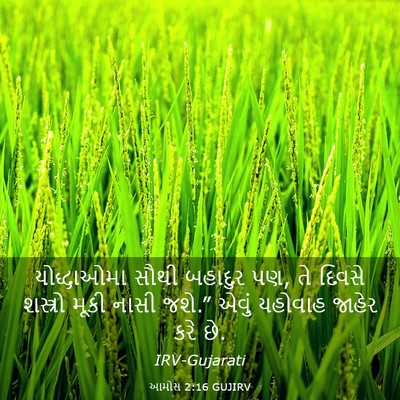 Picture 03 - આમોસ 2:16 GUJIRV - યોદ્ધાઓમા સૌથી - Bible Verse Picture